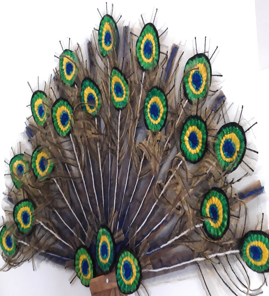 vogels-alice